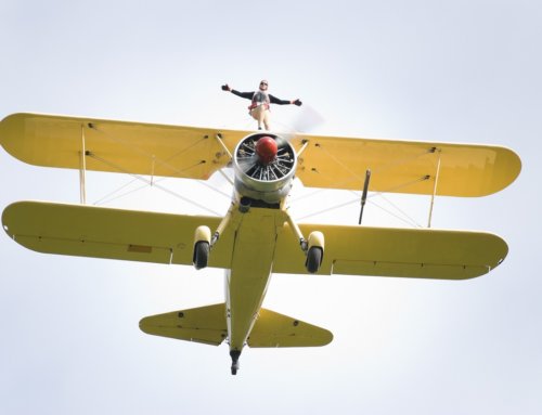 Mooneerams Solicitors proud to support sponsored ‘Wing Walk’ in aid of Multiple Sclerosis Wales