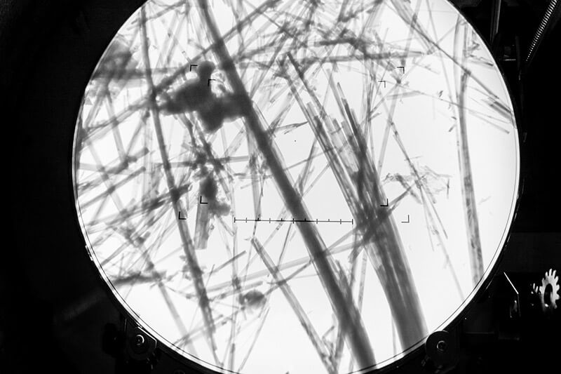 Asbestos fibres under microscope