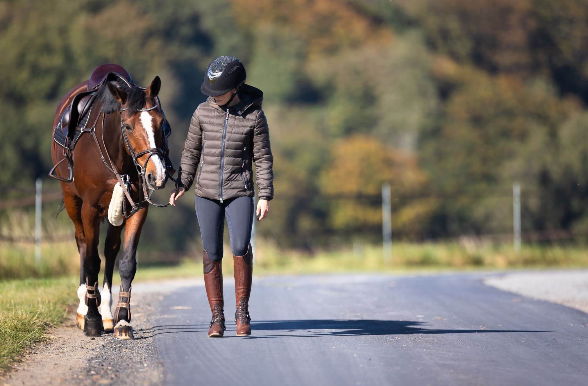 horse riding accident claim