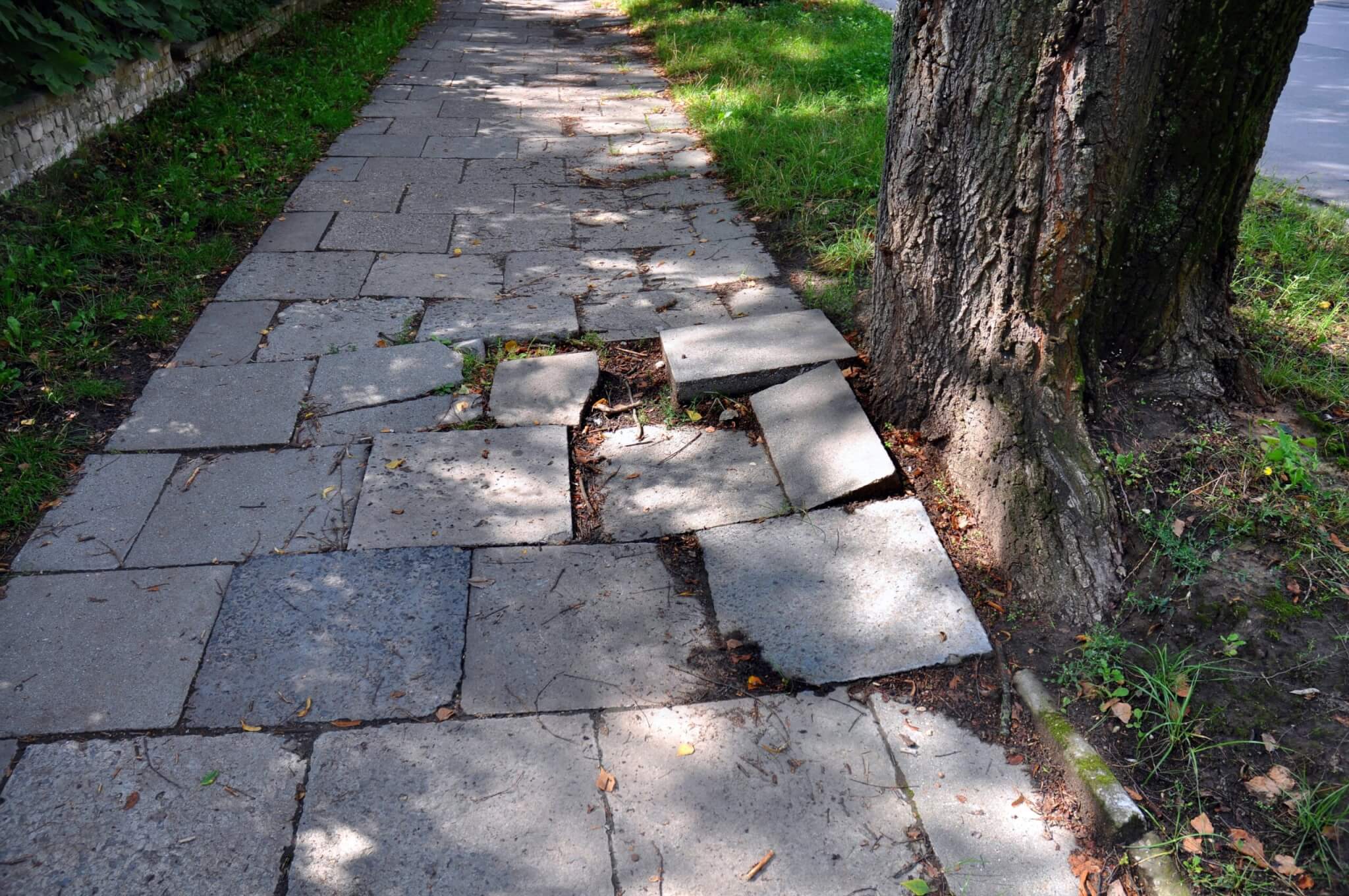 Fall caused by uneven pavement